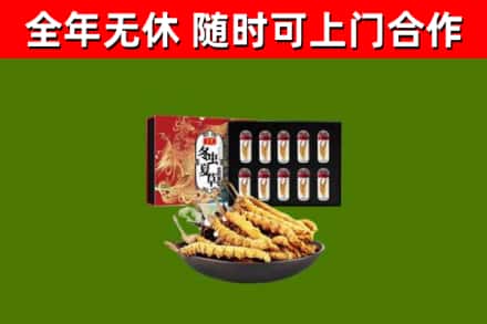 凤凰县回收冬虫夏草价格
